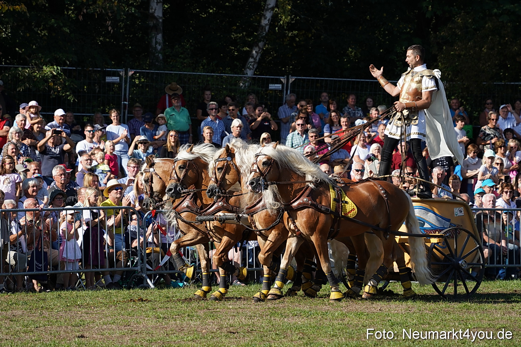 Pferde und Fohlenschau 2022 0033 